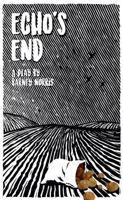 Echo's End, Barney (Author) Norris - Paperback - 9781786821195