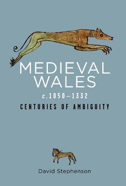 Medieval Wales c.1050-1332, David Stephenson - Paperback - 9781786833860