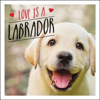 Love is a Labrador, Charlie Ellis - Gebonden - 9781786859822