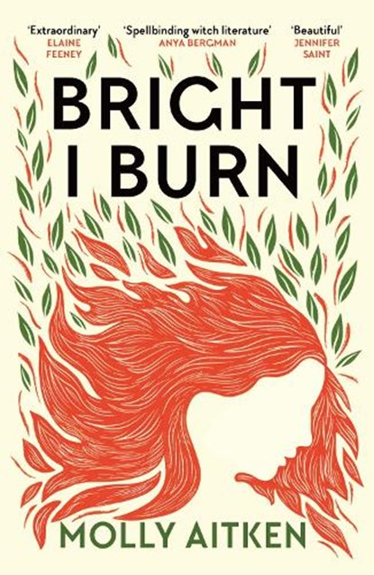 Bright I Burn, Molly Aitken - Paperback - 9781786898371