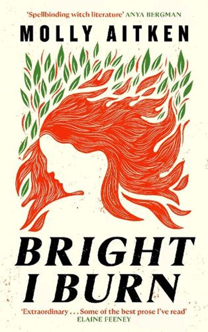 Bright I Burn, Molly Aitken - Gebonden - 9781786898388