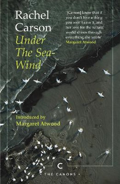 Under the Sea-Wind, Rachel Carson - Paperback - 9781786899279