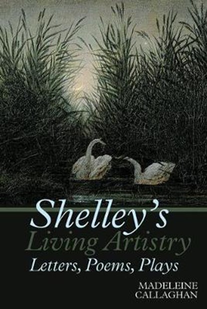 Shelley's Living Artistry, CALLAGHAN,  Madeleine - Gebonden - 9781786940247