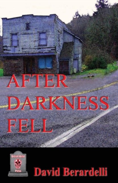 After Darkness Fell, David Berardelli - Paperback - 9781786957153