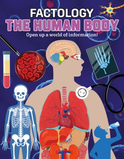 Factology: The Human Body, Button Books - Gebonden - 9781787081345