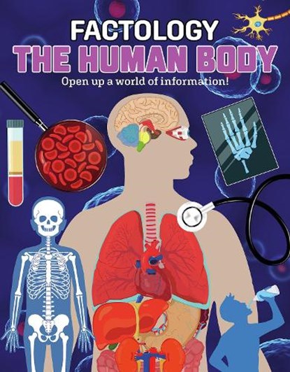 Factology: The Human Body, Button Books - Gebonden - 9781787081345