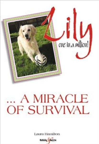 Lily: One in a Million, Laura Hamilton - Paperback - 9781787111479