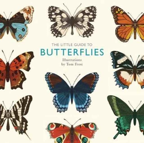 Little guide to butterflies