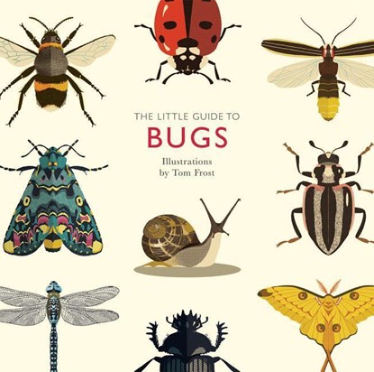 The Little Guide to Bugs, Alison Davies - Gebonden Gebonden - 9781787131637