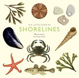 The Little Guide to Shorelines - Alison Davies - 9781787139596