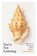You're not listening, kate murphy - Paperback - 9781787300965