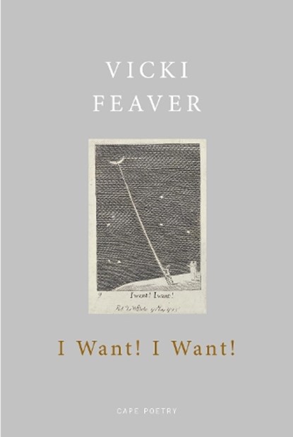 I Want! I Want!, Vicki Feaver - Paperback - 9781787331815