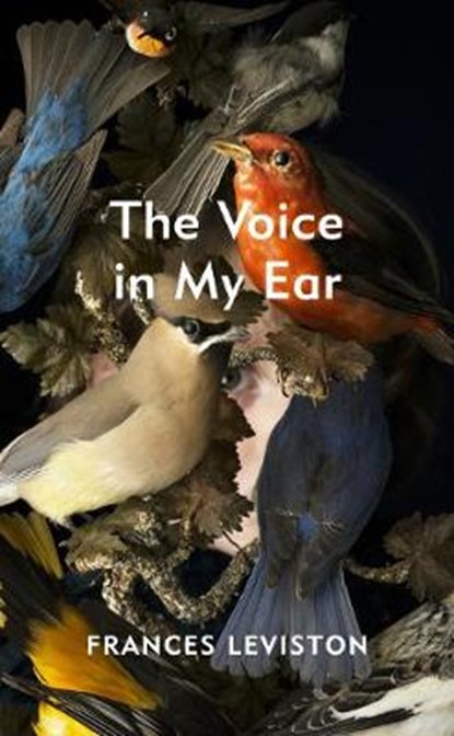 The Voice in My Ear, LEVISTON,  Frances - Gebonden - 9781787331983