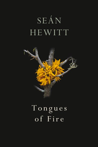 Tongues of Fire, Sean Hewitt - Paperback - 9781787332263