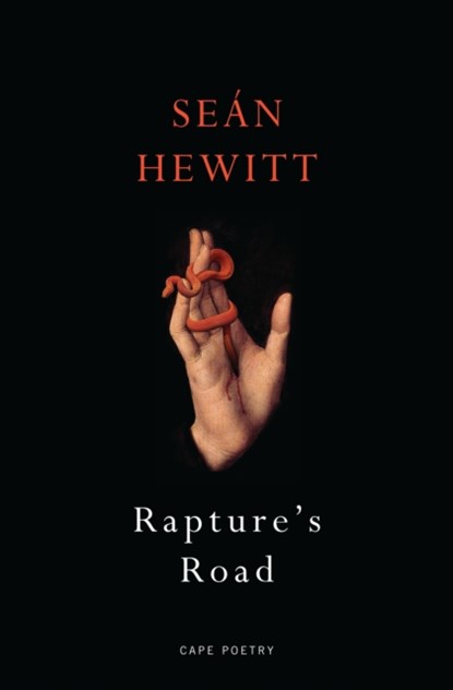 Rapture's Road, Sean Hewitt - Paperback - 9781787334274