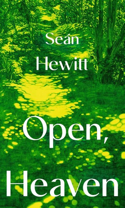 Open, Heaven, Sean Hewitt - Paperback - 9781787335202