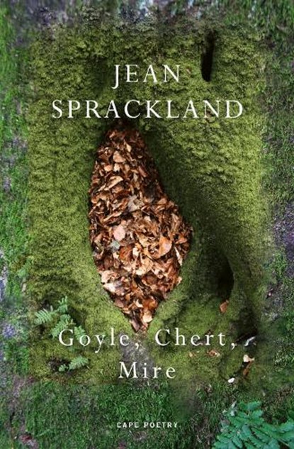 Goyle, Chert, Mire, Jean Sprackland - Paperback - 9781787335912