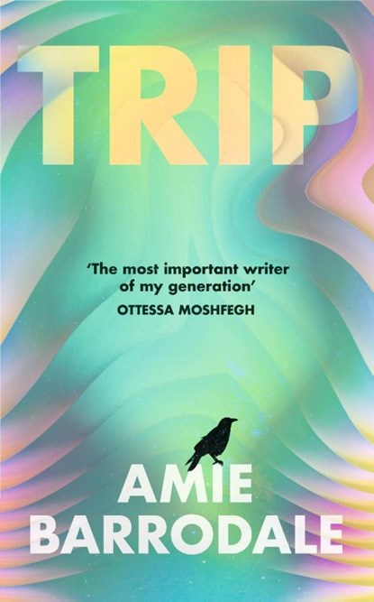 Trip, Amie Barrodale - Gebonden - 9781787335936