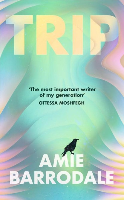 Trip, Amie Barrodale - Paperback - 9781787335943