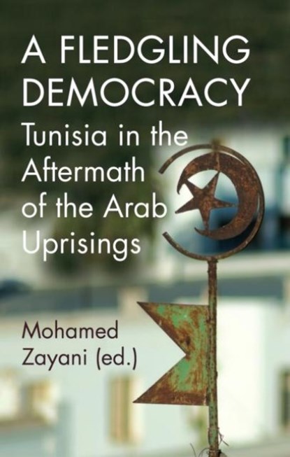 A Fledgling Democracy, Mohamed Zayani - Paperback - 9781787387140