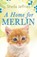 A Home for Merlin, Sheila Jeffries - Paperback - 9781787395756