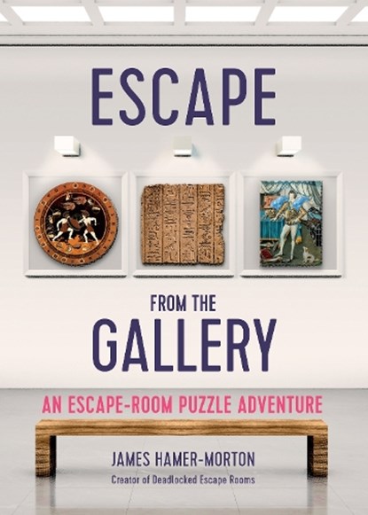 Escape from the Gallery, James Hamer-Morton - Paperback - 9781787396012