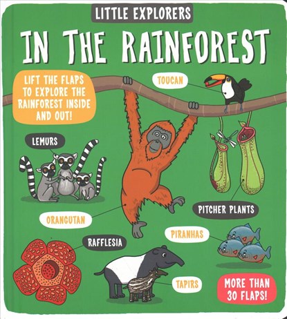 Little Explorers: In the Rainforest, Dynamo Ltd. - Overig Gebonden - 9781787413313