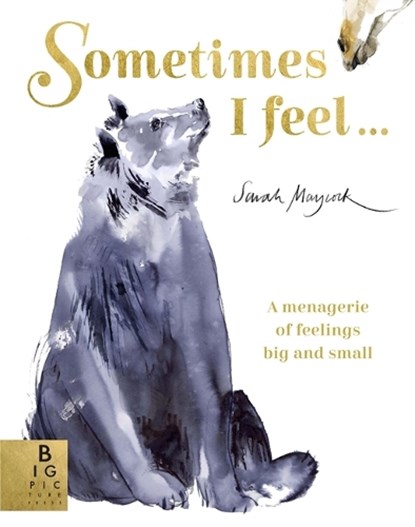 Sometimes I Feel..., Sarah Maycock - Gebonden Gebonden - 9781787413849