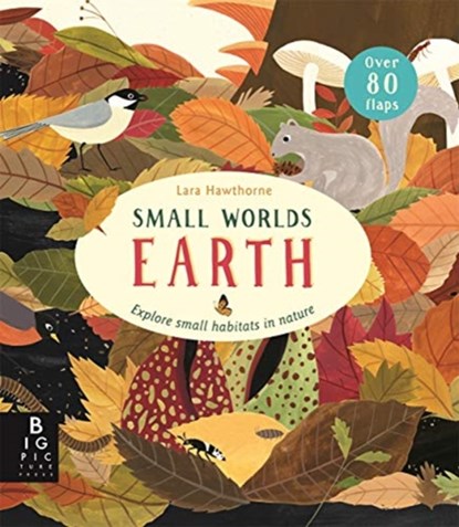 Small Worlds: Earth, Camilla De La Bedoyere - Overig - 9781787415638