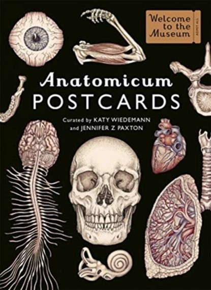 Anatomicum Postcard Box, Jennifer Z Paxton - Losbladig Paperback - 9781787416529