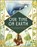 Our Time on Earth, Lily Murray - Gebonden - 9781787417083