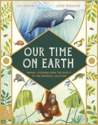 Our Time on Earth, Lily Murray - Gebonden - 9781787417083