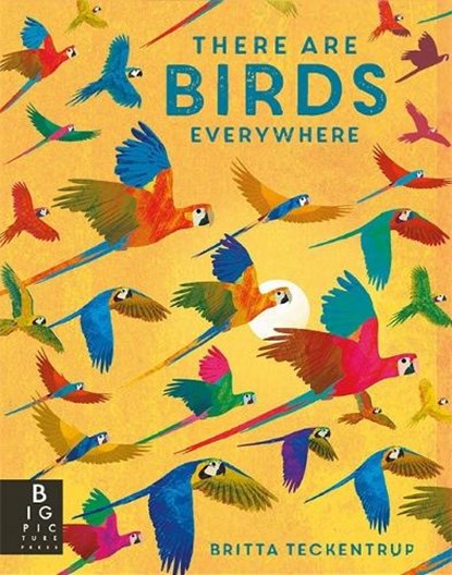 There are Birds Everywhere, Camilla De La Bedoyere - Gebonden Gebonden - 9781787417175