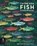 There are Fish Everywhere, Katie Haworth - Paperback - 9781787417755