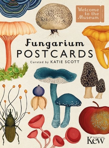 Fungarium Postcards, niet bekend - Losbladig Paperback - 9781787419896