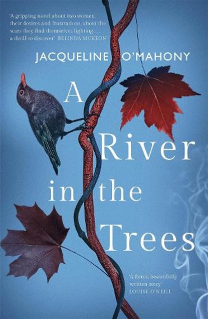 A River in the Trees, Jacqueline O'Mahony - Paperback - 9781787473539