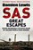 SAS Great Escapes, Damien Lewis - Paperback - 9781787475304