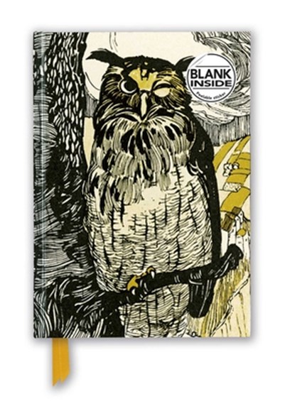 Grimm's Fairy Tales: Winking Owl (Foiled Blank Journal), Flame Tree Studio - Overig - 9781787558595
