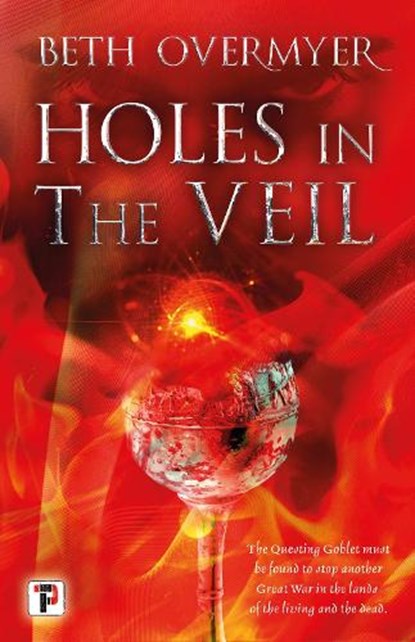 Holes in the Veil, Beth Overmyer - Paperback - 9781787585829