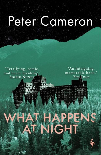 What Happens at Night, Peter Cameron - Paperback - 9781787704244