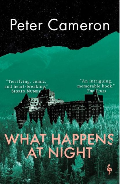 What Happens at Night, Peter Cameron - Paperback - 9781787704244
