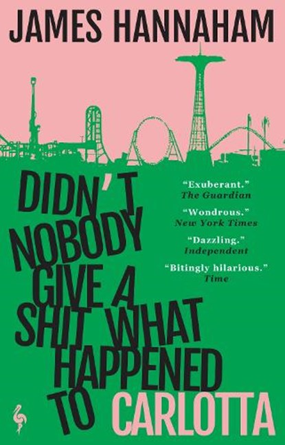 Didn't Nobody Give a Shit What Happened to Carlotta, James Hannaham - Paperback - 9781787704930