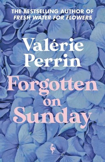 Forgotten on Sunday, Valerie Perrin - Paperback - 9781787705272