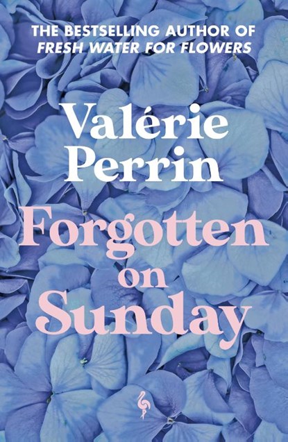 Forgotten on Sunday, Valerie Perrin - Paperback - 9781787705272