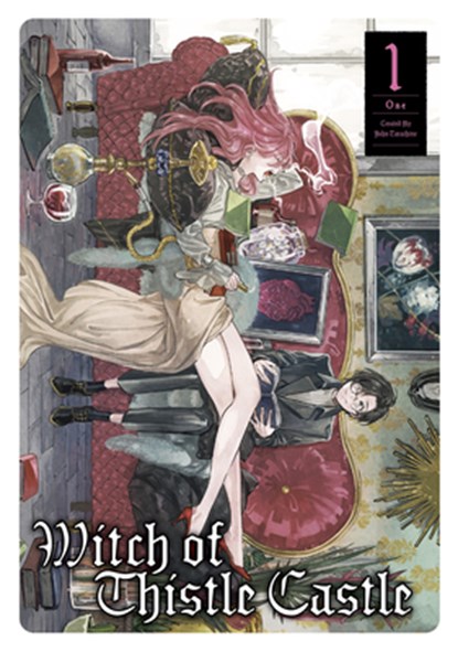 Witch of Thistle Castle Vol.1, John Tarachine - Paperback - 9781787741416