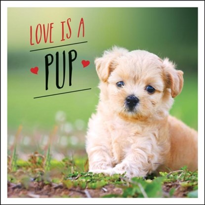 Love is a Pup, Charlie Ellis - Gebonden - 9781787832619