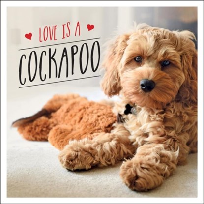 Love is a Cockapoo, Charlie Ellis - Gebonden - 9781787839922