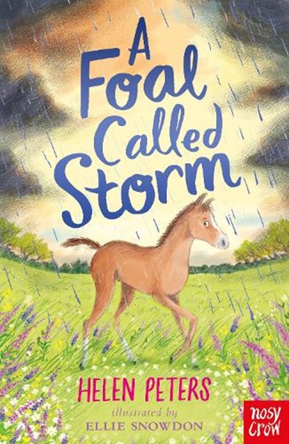 A Foal Called Storm, Helen Peters - Paperback - 9781788009515