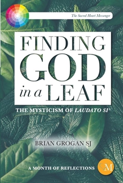 Finding God in a Leaf, Brian (SJ) Grogan - Gebonden - 9781788120043