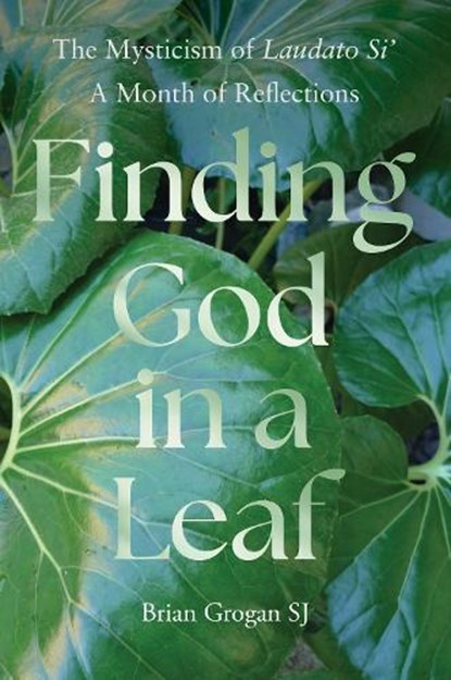 Finding God in a Leaf, Brian (SJ) Grogan - Gebonden - 9781788120043